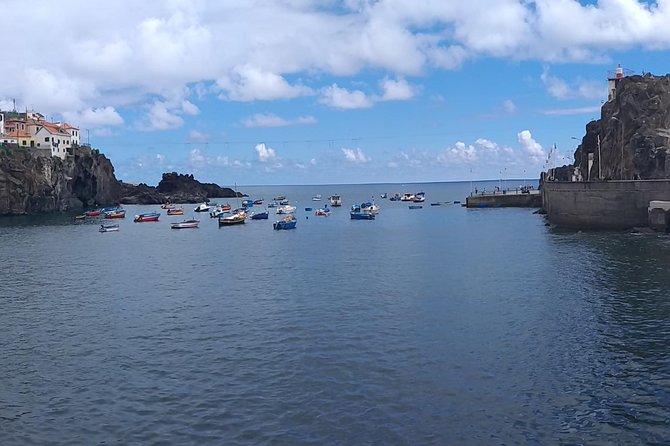 The Best of the West of Madeira - Explore the Charming Village of Ponta Do Sol