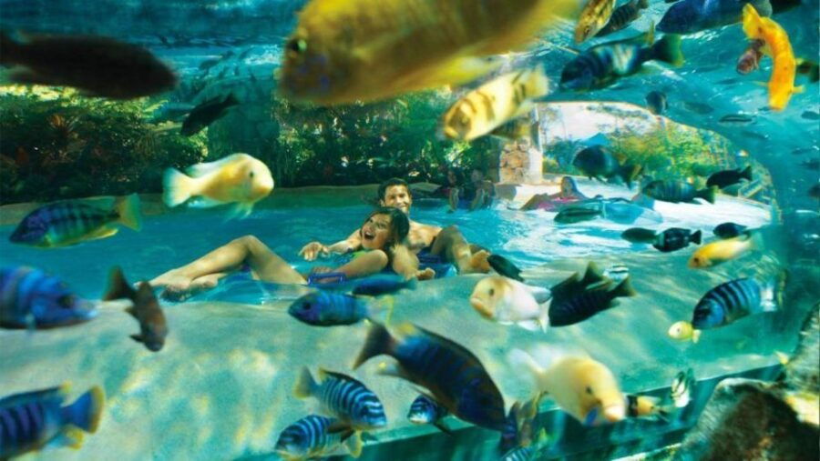 The BEST Orlando Water Parks - Good To Know