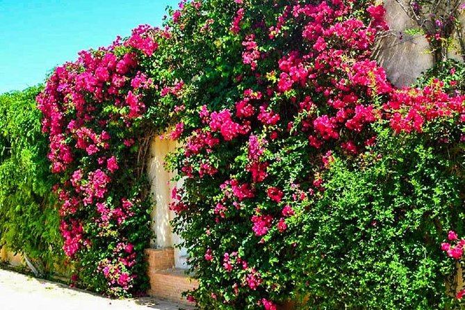 The Cartuja of Seville. - History and Significance