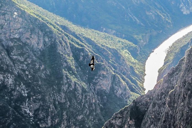 The Condor Canyon in Chonta 1 Day - Private Service - Good To Know