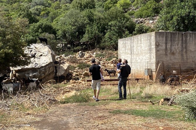 The Cretan Way of Life at the Mountains of Rethymno (Mylopotamos) - Good To Know