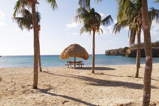 The Curacao Full Day Private Tour Experience