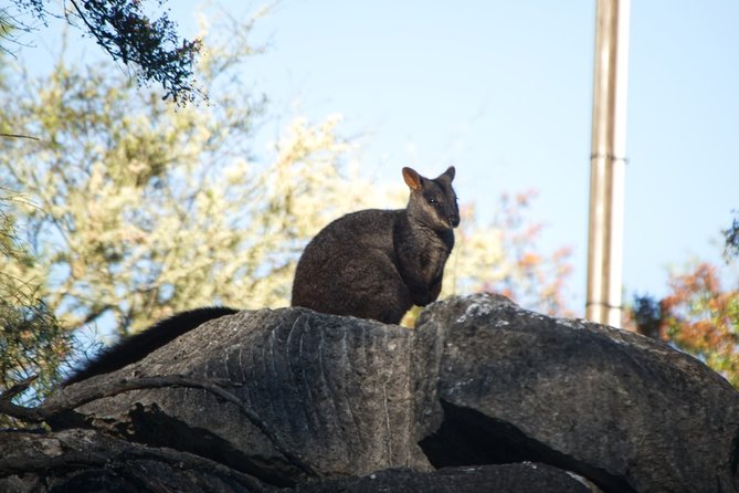 The Explorers Discovery Tour – Gold, Wine & Wildlife