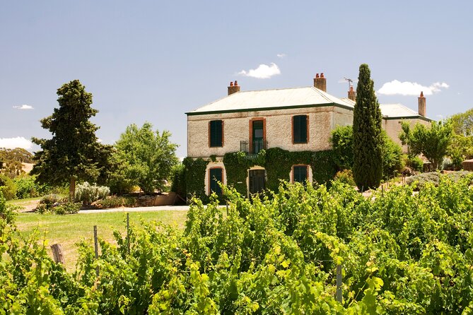 The Florita Wine Tasting Experience
