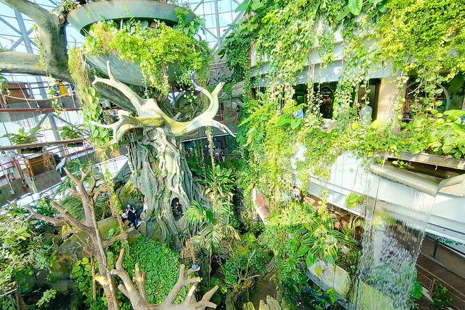 The Green Planet Dubai With Options - Good To Know