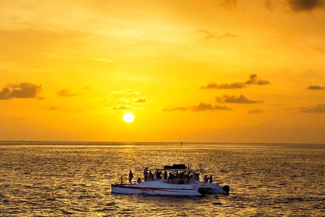 The Key West Dolphin & Snorkel Experience - Good To Know