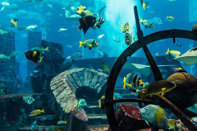 The Lost Chamber Atlantis Dubai on Sharing Transfer - Good To Know