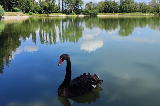 The Milan You Dont Expect, Bike Tour With Picnic on the Lake - Good To Know