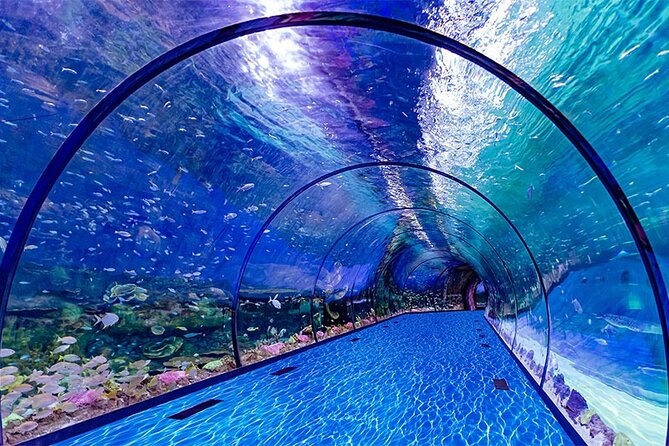 The National Aquarium Abu Dhabi - Good To Know