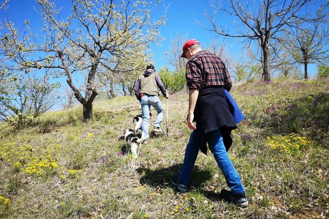 The Real Truffle Hunting in Abruzzo