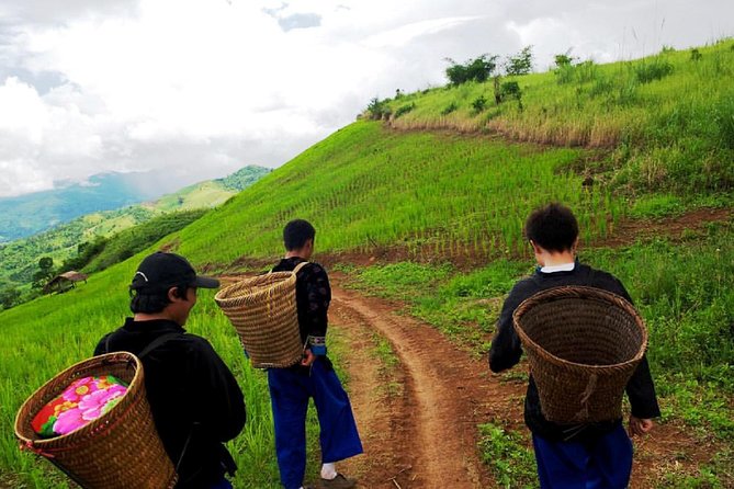 The Royal Projects and Minorities of Doi Tung