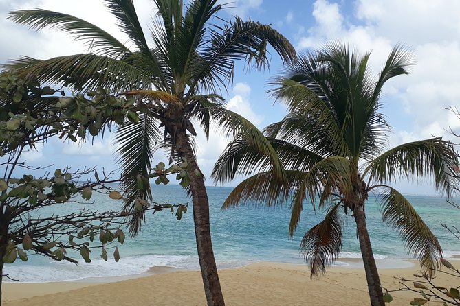 11 Best Full-Day Tours In St Maarten