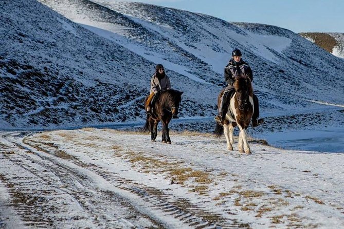 The Viking North Iceland Horse Riding in Winter Experience - Good To Know