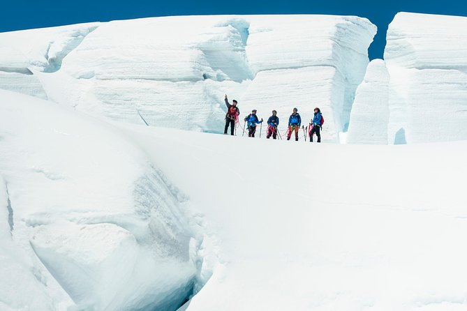 The Wigley: Top of the Tasman Glacier Hike