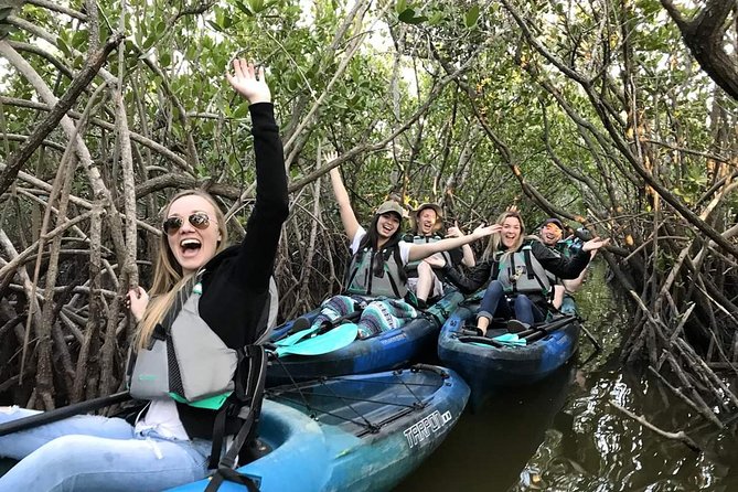 Thousand Island Mangrove Tunnel, Manatee & Dolphin Kayak Tour W/Cocoa Kayaking