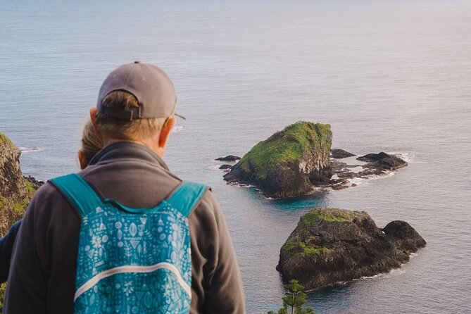 Three-Hour Guided Bushwalk With Breakfast, Cook Monument  – Norfolk Island
