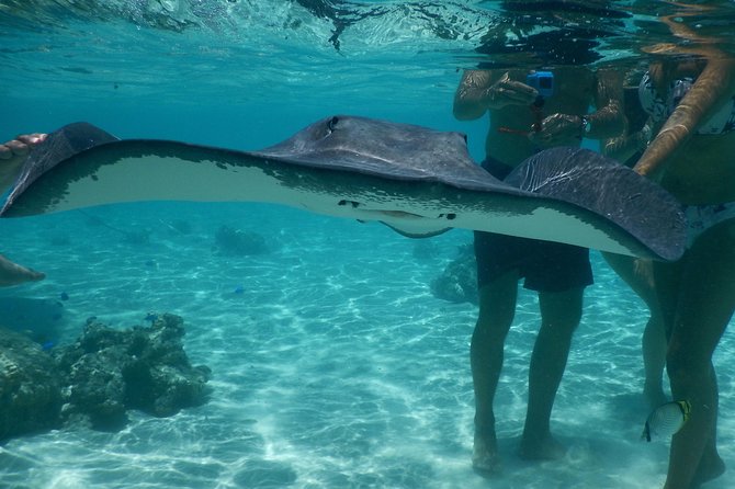 Three-Hour Solo or Tandem Jet Skiing Tour, Moorea