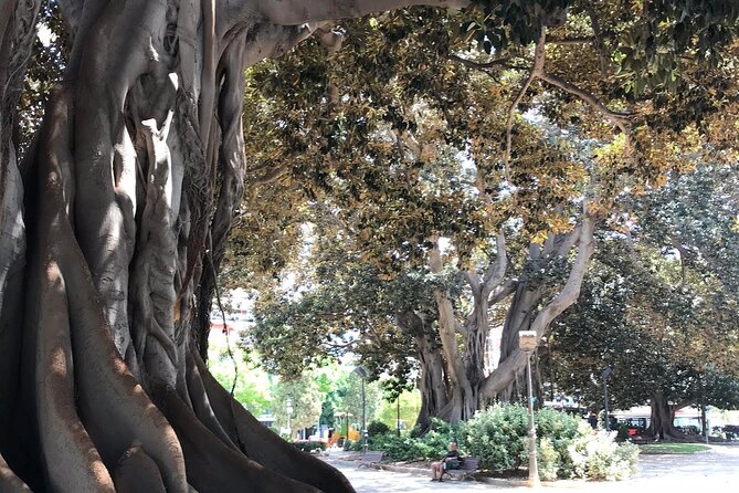 Three Parks of Valencia Private Bike Tour - Tour Highlights