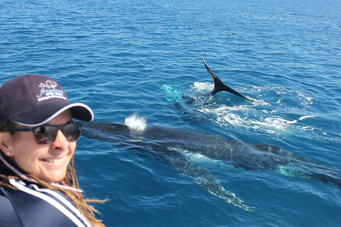 4 Best Whale Watching Experiences In Hervey Bay