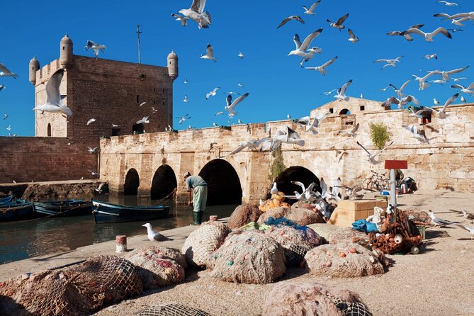 Three Valleys: Imlil, Asni, and Aroumd Tour From Marrakech