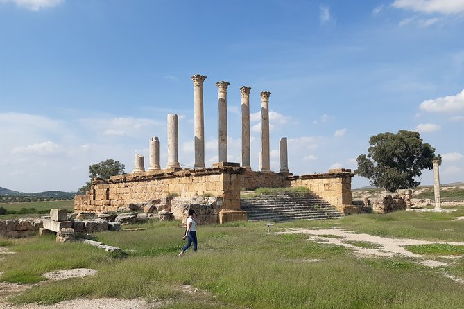 Thuburbo Majus Uthina and Zaghouan Roman Sites Tour From Tunis or Hammamet