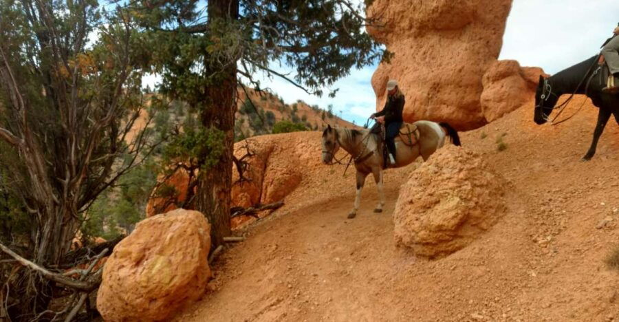 Thunder Mountain Trail: Scenic Horseback Ride