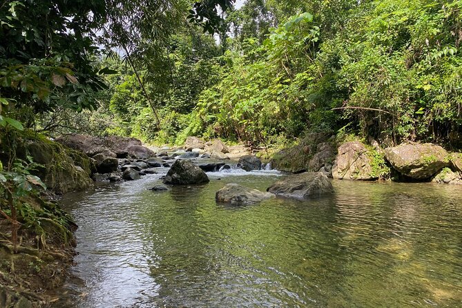 Tinajas Hiking Adventure to El Yunque Rainforest - Tour Logistics, Preparation, Recommendations, and Feedback