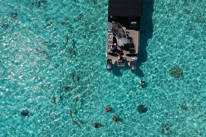 7 Best Drinking Tours In Bora Bora