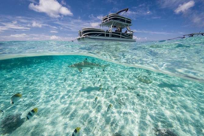 Toa Boat Bora Bora Private Lagoon Tour With Lunch on Ambassador Boat - Tour Overview and Features