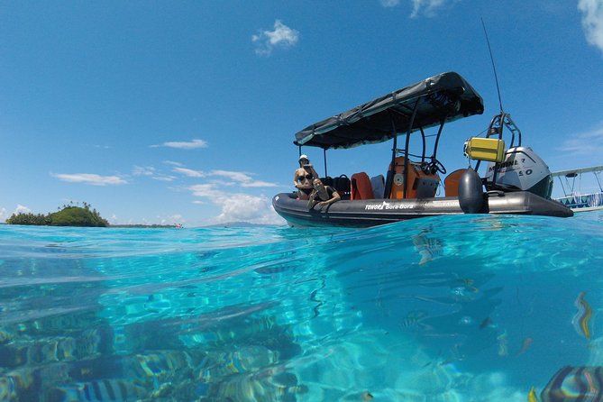 Tohora Bora Bora Snorkeling Lagoon Tours - Tour Details and Highlights