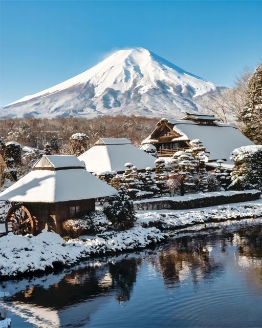 Tokyo to Mt. Fuji & Hakone Expert English Guide Private Tour