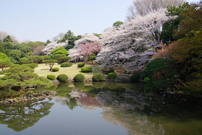 Tokyo's Love Story: A 3-Hour Private Couple's Walking Tour
