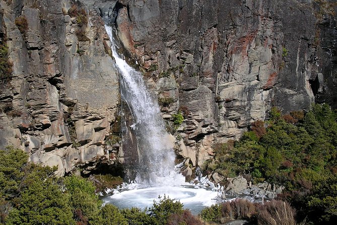 Best Tours In Ohakune