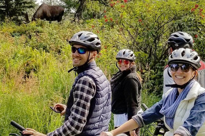 Tony Knowles Coastal Trail Scenic Bike Tour
