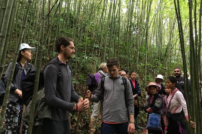 Tour 3* Sapa Package 3D2N: Cat Cat - Lao Chai - Ta Phin/Ham Rong From Hanoi City - Itinerary Highlights