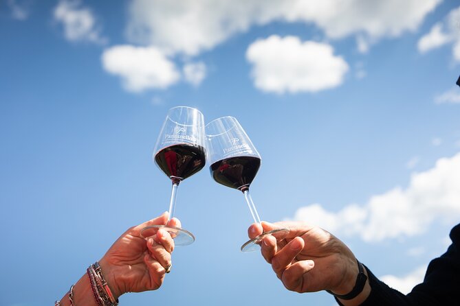 Tour and Tasting at an Organic Winery in Panzano in Chianti - Good To Know