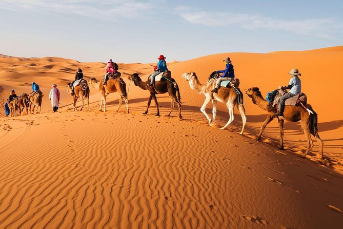 Tour From Marrakech to the Desert 4 Days