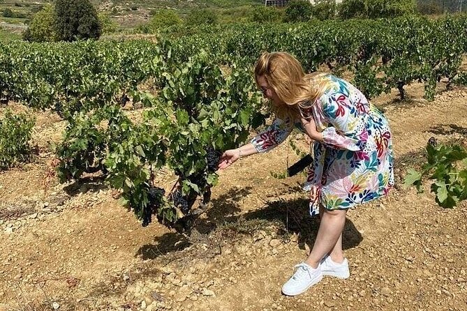 Tour of La Ribera Winerie and Extra Virgin Olive Oil Guided Tour