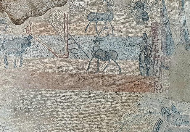 Tour of the Roman Empire From Madrid - Good To Know