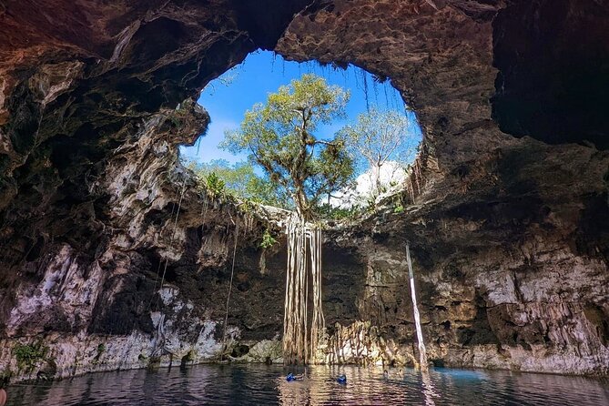 Tour to Cenotes of Santa Barbara and Acanceh Area From Merida - Good To Know