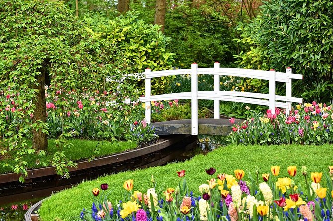 Tour to Giethoorn and Keukenhof Tulip Fields From Amsterdam - Private Transfer to Keukenhof Gardens