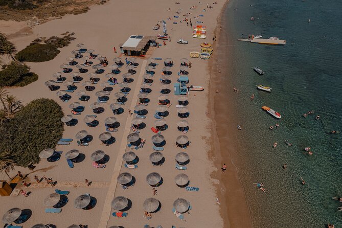 Tour to Sitia, Toplou Monastery and Vai Palm Beach From Ierapetra - Good To Know