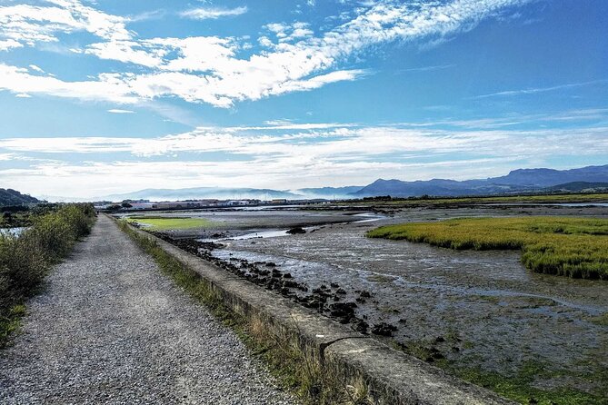 Tour to the Anchovies Factory and Santoña Marshes With Tasting - Tour Details