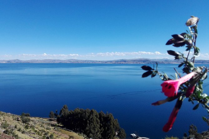 Tour Uros and Taquile in Speedboat (Full Day)