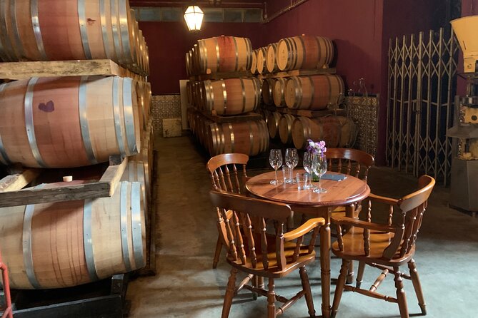 Tour Visit and Wine Tasting to Two Cellars in Setúbal Half Day - Good To Know