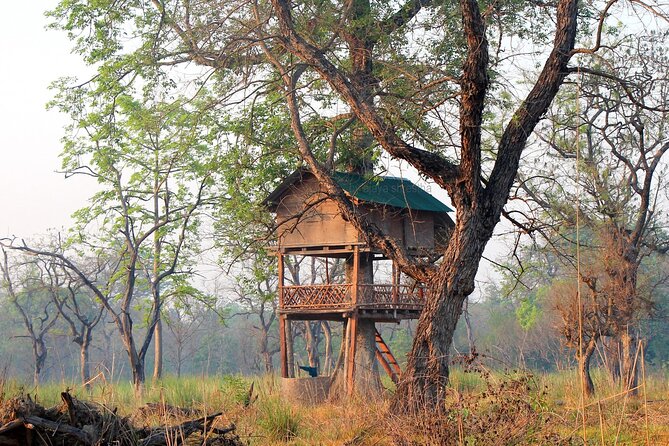 Tower Night Stay Bardia , Tree House Accommodation in Bardia - Good To Know