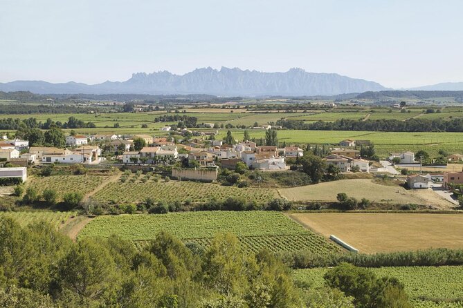 Traditional Food and Wine Small Group Tour From Barcelona