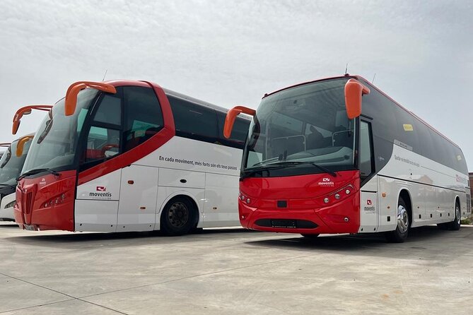 Transfer Arrival Shuttle Reus Airport to La Pineda - Good To Know