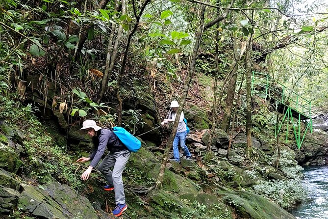 Transfer From Da Nang or Hoi an to Hue via Bach Ma National Park - Scenic Highlights of Bach Ma National Park