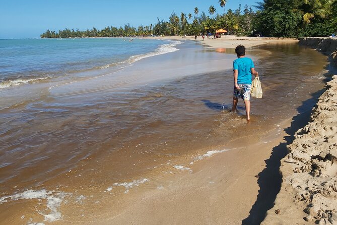 Transportation From San Juan to Ceiba Ferry or Airport